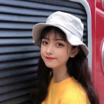 寻宝小狗手机版下载
